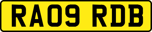 RA09RDB