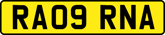 RA09RNA