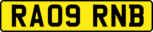 RA09RNB