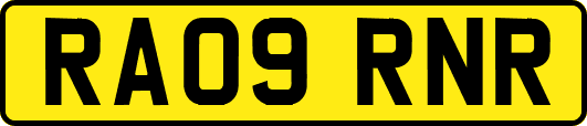 RA09RNR