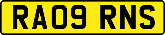 RA09RNS