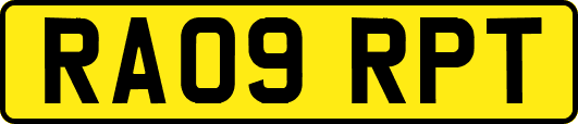 RA09RPT