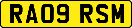 RA09RSM