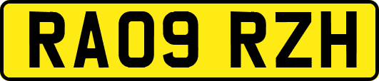 RA09RZH