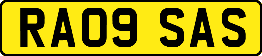 RA09SAS