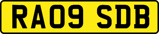 RA09SDB