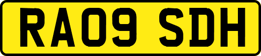 RA09SDH