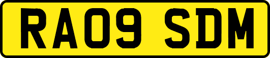 RA09SDM