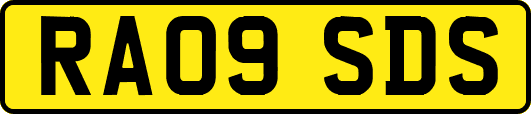 RA09SDS