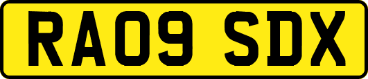 RA09SDX