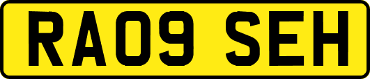 RA09SEH