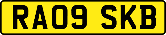 RA09SKB