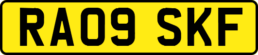 RA09SKF