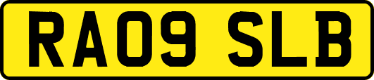 RA09SLB