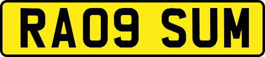 RA09SUM