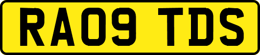 RA09TDS