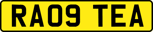 RA09TEA