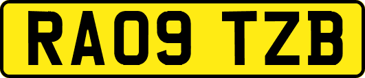 RA09TZB