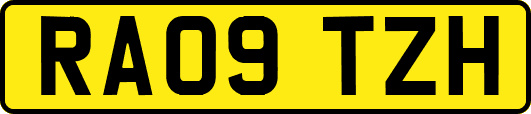 RA09TZH