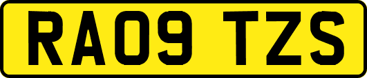 RA09TZS