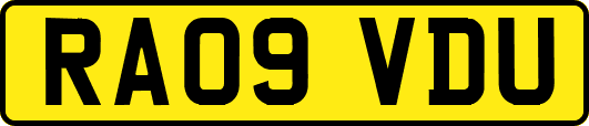 RA09VDU