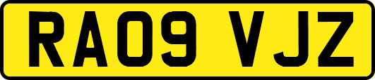 RA09VJZ