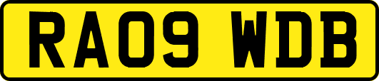 RA09WDB