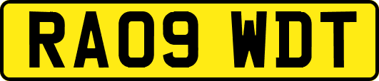 RA09WDT