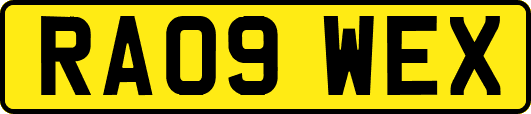RA09WEX