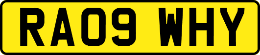 RA09WHY