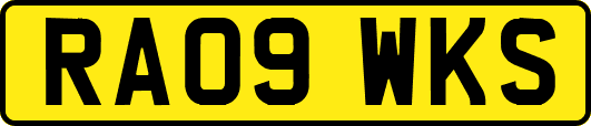 RA09WKS