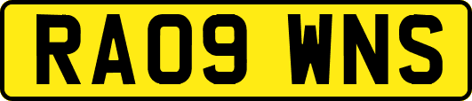 RA09WNS