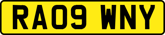 RA09WNY
