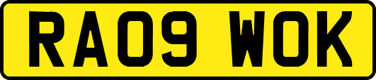 RA09WOK