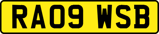 RA09WSB
