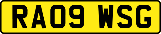 RA09WSG