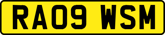 RA09WSM