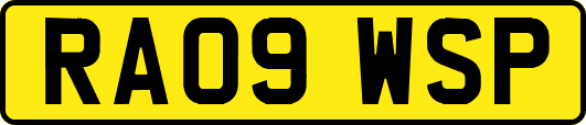 RA09WSP