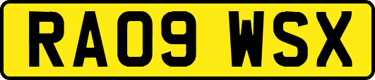 RA09WSX