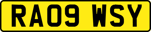 RA09WSY