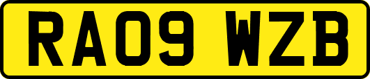 RA09WZB