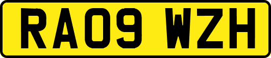 RA09WZH