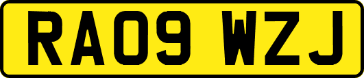RA09WZJ