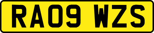RA09WZS