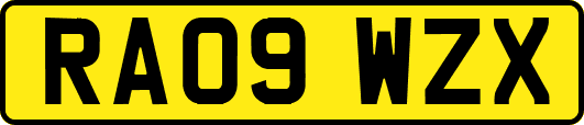 RA09WZX