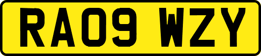 RA09WZY