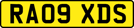 RA09XDS