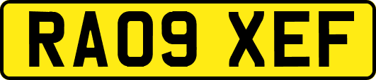 RA09XEF
