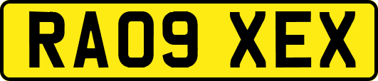 RA09XEX