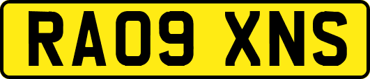 RA09XNS
